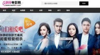 草民福利艳遇在线观看,一场奇妙的网络邂逅之旅